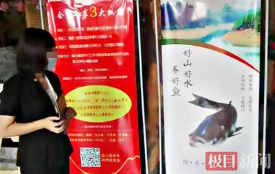 "洈水鱼就是好吃",荆门一餐厅被罚款20万元